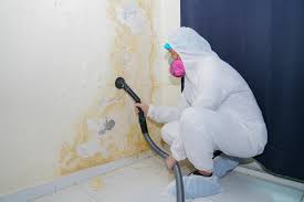 Best Asbestos and Lead Testing During Mold Inspection  in Falcon Heights, MN